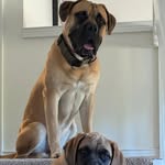Eric Reichelt - @einstein_82 - Instagram