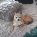 Eric Reichling - Facebook