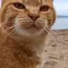 Eric Reiffsteck - @eric.reiffsteck - TikTok