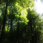 Eric Reinhard - @reinhard8374 - Instagram