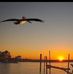 Eric Reinhard - Facebook