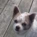 Eric Reinhardt - Facebook