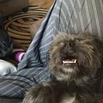 Eric Ressler - @td_pickles28 - Instagram