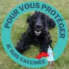 ericdrieux - @ericdrieux - TikTok