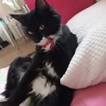 Eric Ringoet - @ringoet.eric - Instagram