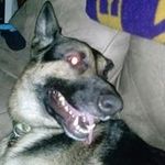Eric Ripley - @eric_ripley - Instagram