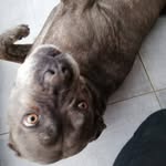 Eric Ritter - @eric.ritter.378 - Instagram