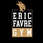 Eric Favre Gym Roanne - @ericfavregymroanne - Instagram