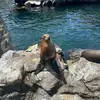 ericrobbins5 - @eric.robbins7 - TikTok