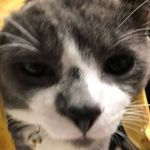 Eric.Robbins - @_eric_robbins_ - Instagram