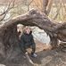 Eric Robey - Facebook