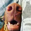 Eric Robichaud87 - @ericrobichaud87 - TikTok
