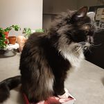 Eric Robichaud - @robichaud4044 - Instagram