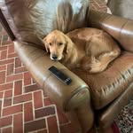 Eric Robicheaux - @eric.robicheaux.3 - Instagram