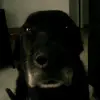 Ericrobidoux - @ericrobidoux - TikTok