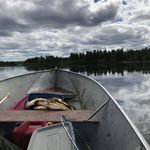 Eric Robillard - @robillard.eric - Instagram