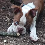 Eric Robinette - @eric.robinette.14 - Instagram