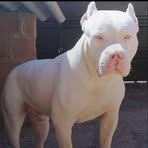Eric Rocha - Facebook
