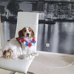 Eric Rocher - @eric.rocher.90 - Instagram