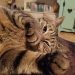 Little Eric Rockford - @littleericrockford - Instagram