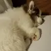 Erica_rocks1 - @sara.lolz - TikTok