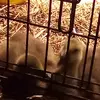 Erik Roderick - @erik.roderick3 - TikTok