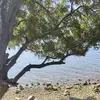 memleketaşkı - @ericrody7 - TikTok