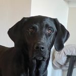 Eric Roehl - @roehl.eric - Instagram
