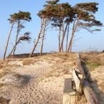 Erik Roepke - @bodarer - Instagram