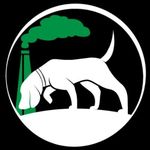 Eric Roesch - @esg.hound - Instagram