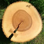 Erik Rohrer - @woodpojke - Instagram
