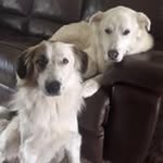 Eric Rohs - @eric.rohs - Instagram