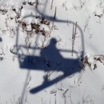 Eric Rolls - @erollsy - Instagram