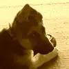 eric - @eric.rolston - TikTok