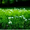 Eric Romeo - @romeo.ericm - TikTok