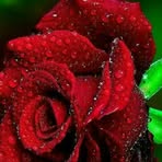 Eric Rong - Facebook