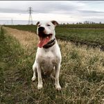 Eric Roscoe - @roscoeyo88 - Instagram