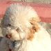 Eric Rothenberg - Facebook