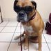 Eric Etay Rothstein - Facebook