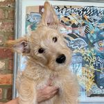Eric Rowe - @ericroweuk - Instagram