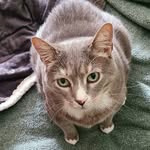 Eric Roy - @eric.roy.520 - Instagram