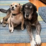 Eric Rubin - @1eric.rubin - Instagram