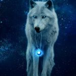 Éric Rubin - @eric.rubin.3532 - Instagram