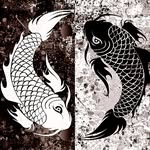 Eric Rudich - @rudicheric - Instagram