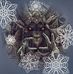 Eric Ruiz - Facebook
