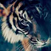 Eric Rusch - @ericrusch - TikTok
