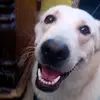 Erick Damián Ruvalcaba - @erick.damin.ruval - TikTok