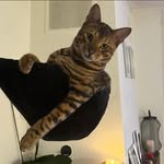 Eric Ryser - @eric.ryser.5 - Instagram