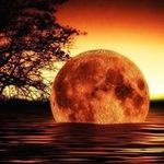 Eric Sabatini - @sandroni4287 - Instagram