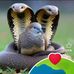Erick Sabel Markules - Facebook